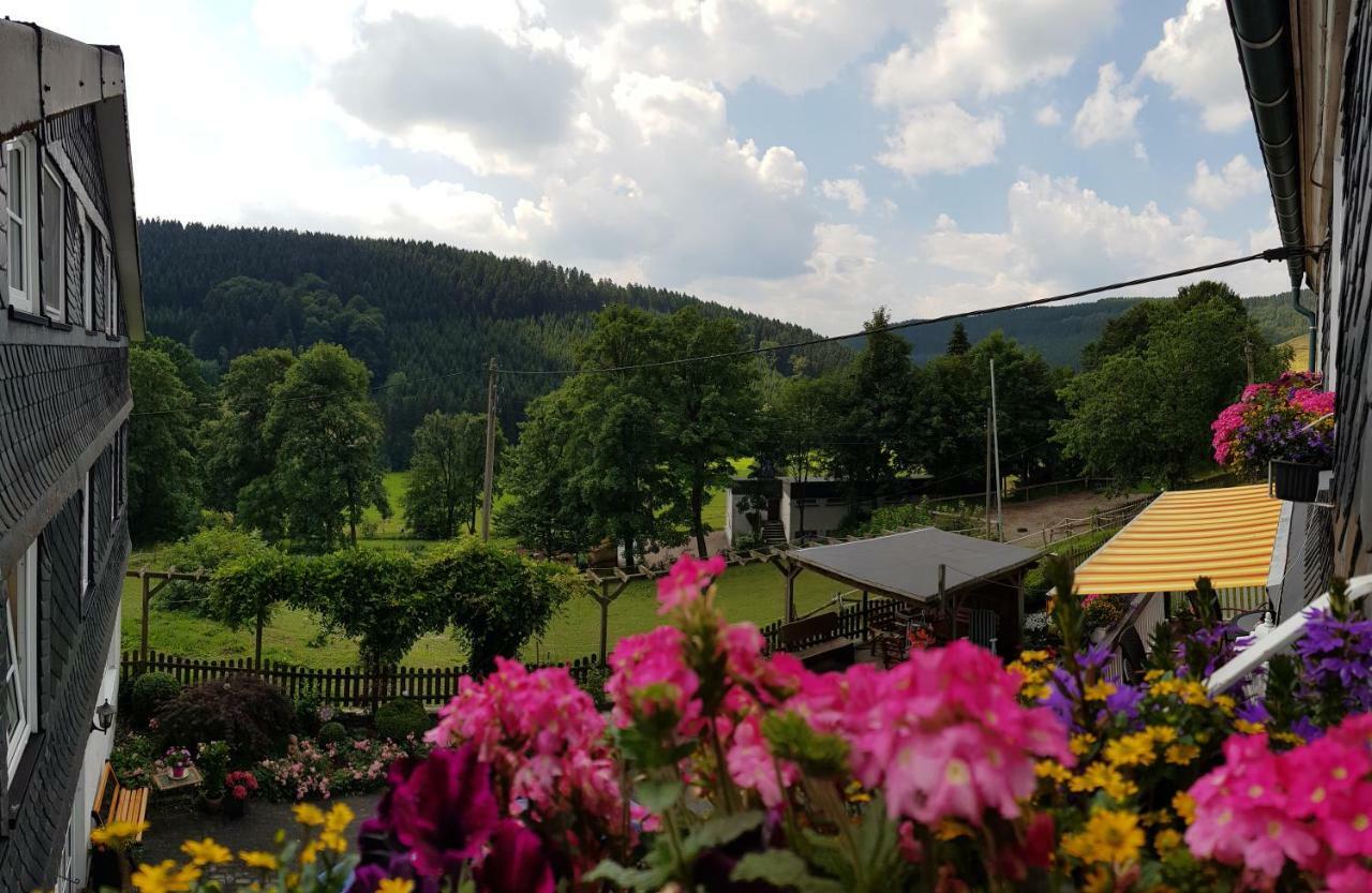 Pension Bergfrieden Schmallenberg Exterior photo